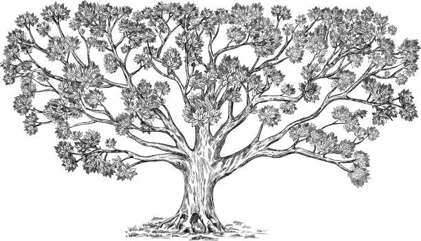 Vector illustration of Decorative family tree with many elements.