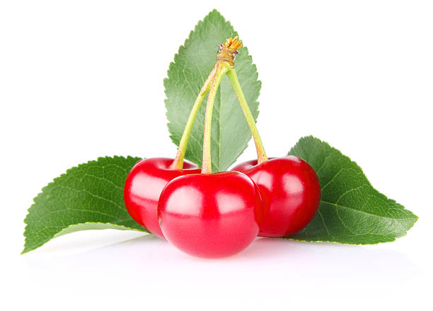 istock sweet juicy cherry with green leaf 149318133