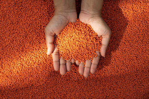 A female picking orange plastic polymer granules from a tray full of orange granules with both hands, a beam of light falling on the granules, close-up shot.