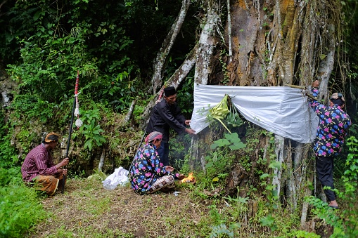 Yogyakarta, Indonesia, March 5, 2022. Residents hold the Nglangse ritual or put a white cloth on a tree trunk as a symbol of protecting springs and being part of environmental preservation.