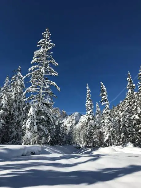 Snow landscapes in Valpusteria,Alto Adige