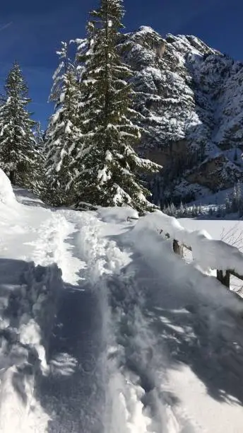 Snow landscapes in Valpusteria,Alto Adige