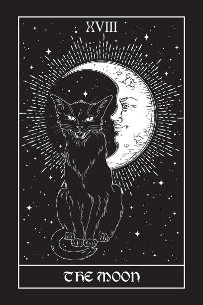 Tarot card The Moon black cat over night sky with moon and stars. Familiar spirit, halloween or pagan witchcraft theme print design vector illustration Tarot card The Moon black cat over night sky with moon and stars. Familiar spirit, halloween or pagan witchcraft theme print design vector illustration. cat witch stock illustrations