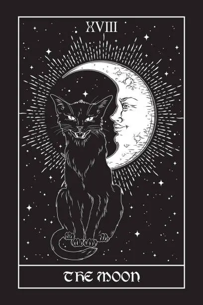 Vector illustration of Tarot card The Moon black cat over night sky with moon and stars. Familiar spirit, halloween or pagan witchcraft theme print design vector illustration