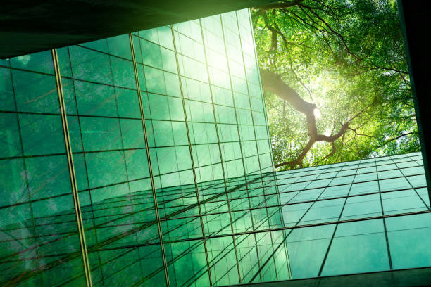 Sustainble green building. Eco-friendly building in modern city. ESG. Sustainable glass office building with green tree. Office with green environment. Corporate sustainability. Net zero emission. stock photo