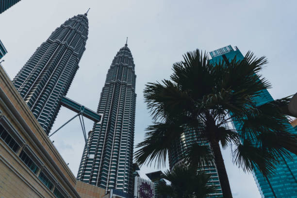 vue de la tour petronas avec des palmiers au premier plan - kuala lumpur skyline traffic sunset photos et images de collection