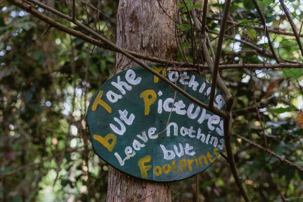 istock a green and white sign is on a tree in the forest 1493192243
