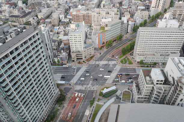 istock Rooftop view of zebra crossing and office 1493195399