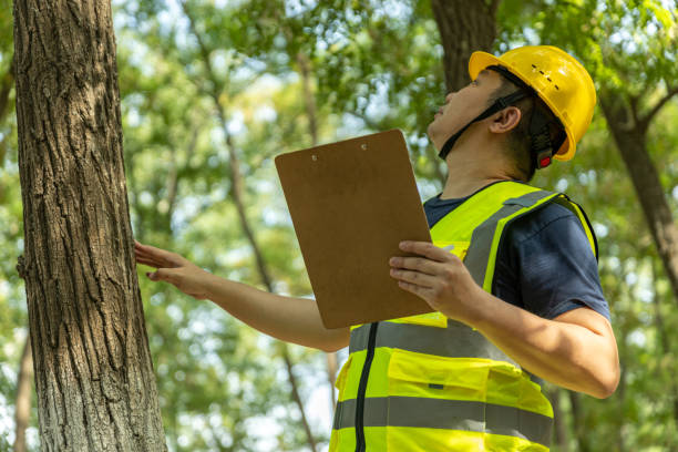 istock male engineer wering a helmet and safety vest taking note on tablet 1493197543