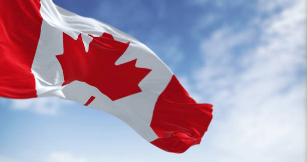 istock Canada national flag waving in the wind on a clear day 1493197930