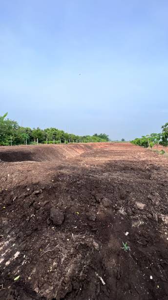 istock Mud hole for planting tree and building a pond. 1493198264