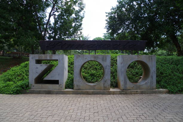 istock Pinnawala zoo in Sri Lanka 1493199999