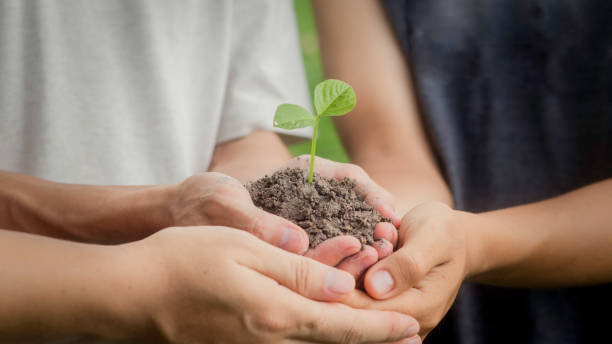 istock in hand planting seedlings Net zero tree concept, natural environment. Climate-neutral long-term strategies to reduce CO2 emissions for the environment, global warming, sustainable development and green business from renewable energy. 1493204056