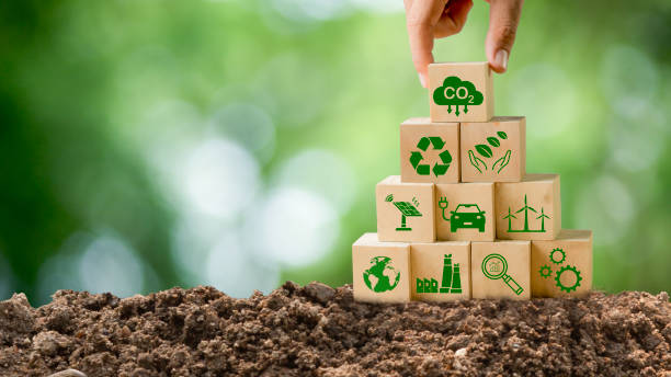 istock Carbon-neutral concept Net-zero emission targets to limit global warming and climate change of renewable energy Offset by planting trees, target symbol on green background. 1493204061