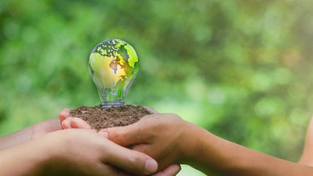 Business partners create energy, sustainable renewable energy concepts, and environmental protection The green world map is placed on the light bulb representing green energy. Renewable energy is crucial to the Earth. los socios comerciales crean conceptos de energía, energía renovable sostenible y protección del medio ambiente el mapa del mundo verde se coloca en la bombilla que representa la energía verde. la energía renovable es crucial para la tierra.