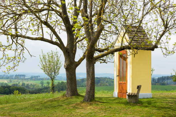 istock Scenic with traditional wayside shrine in Waldviertel Austria 1493207715