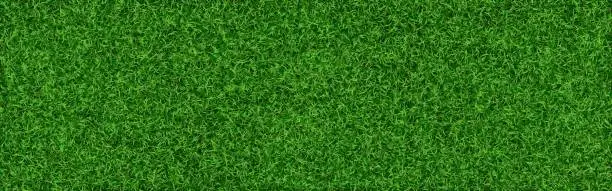 Vector illustration of Grass texture. Summer garden template. Realistic lawn background. Green backyard concept. Fresh grass carpet. Green field wallpaper. Vector illustration