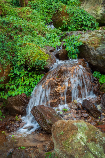 istock Water flowing through stones,beautiful waterfall inside Himalayan forest, Sikkim, India. Sikkim has many scenic waterfalls flowing across the state and these falls are very popular tourist attraction. 1493218787