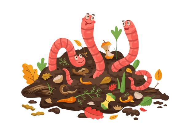 ilustraciones, imágenes clip art, dibujos animados e iconos de stock de gusano de compost de dibujos animados en el suelo, lombrices de tierra divertidas - fishing worm