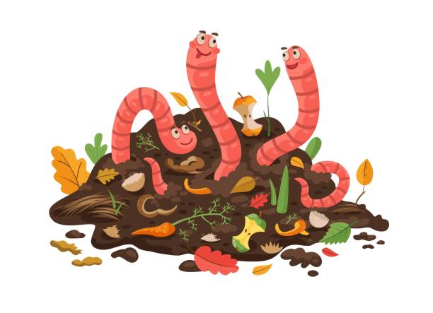 ilustrações de stock, clip art, desenhos animados e ícones de cartoon compost worm in soil, funny earthworms - worm poop