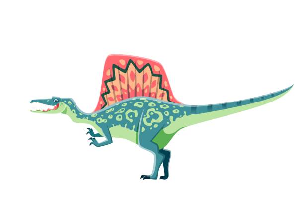 Spinosaurus isolated dinosaur cartoon character Cartoon Spinosaurus dinosaur character. Extinct monster, prehistoric dinosaur or ancient wildlife animal. Jurassic era reptile, paleontology Spinosaurus lizard vector comic personage with spine hump spinosaurus stock illustrations