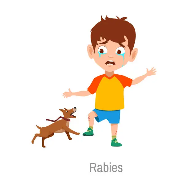 Vector illustration of Rabies child disease, boy attacked with sick dog