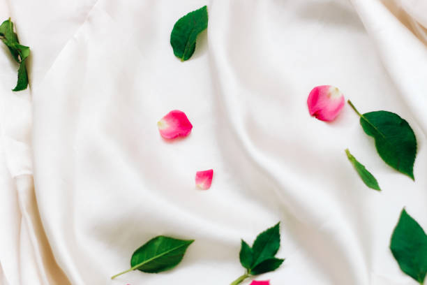 istock Petals of pink roses on a white silk background with space for text 1493222721