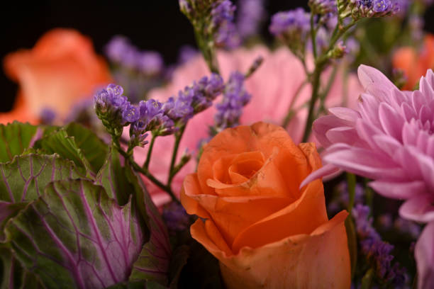 Beautiful orange roses surrounded by stunning floral arrangement in a studio setup on a reflective surface with light from behind. Inspirational as roses are the flower of love