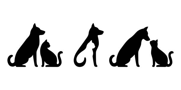 hunde- und katzensilhouetten-set mit schwarzem profil. haustiere sitzen zusammen, seitenansicht isoliert auf weißem hintergrund. design für tierklinik, geschäft, tiergeschäft. vektor - white domestic cat kitten young animal stock-grafiken, -clipart, -cartoons und -symbole