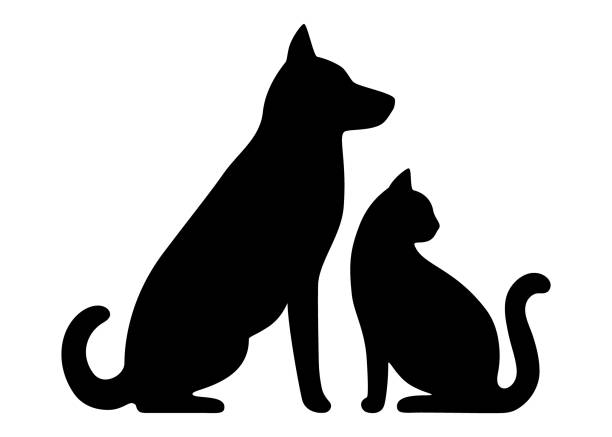 kuvapankkikuvitukset aiheesta koiran ja kissan musta profiili siluetti. lemmikkieläimet istuvat yhdessä, sivunäkymä eristetty valkoisella pohjalla. suunnittelu eläinlääkäriasemalle, kaupalle, eläinyritykselle. vektori - alternative pose
