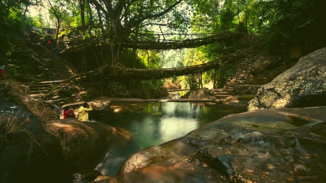 time-lapse at living root bridge. Time lapse in northeast India