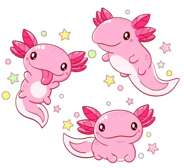 Vector illustration of Set of cute fat axolotl  in kawaii style. Collection of lovely axolotl baby in different poses. Can be used for t-shirt print, sticker, greeting card design