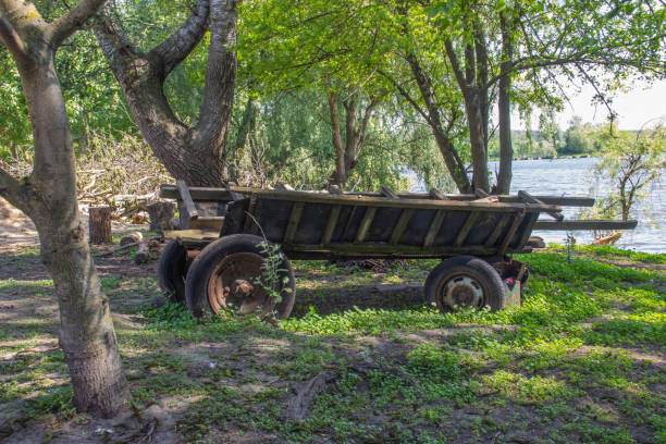 istock An old cart. Ancient transportation 1493243468