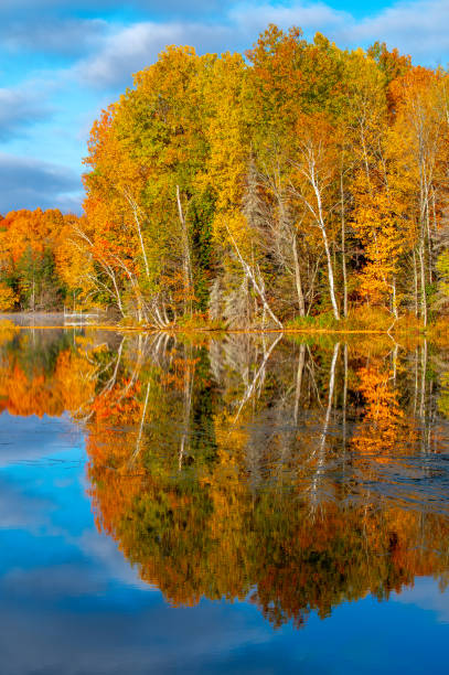 istock Early Morning Mist on a Northwoods Lake 1493243597