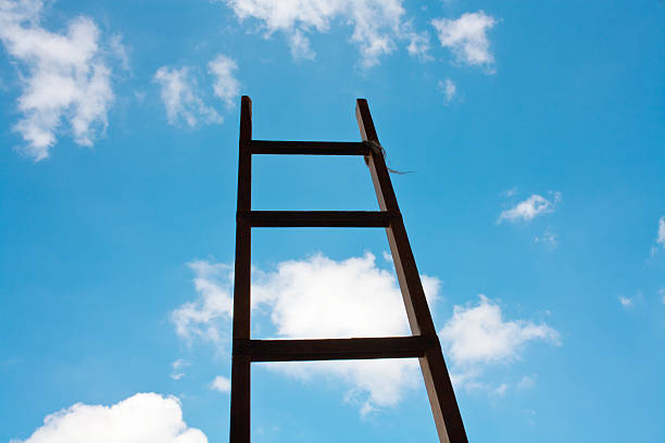 istock Ladder Of Success 149324588