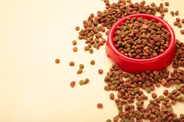istock Pet food in red bowl on beige background. 1493246959