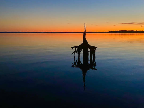 vista del tramonto dalla riva del fiume james a jamestown virginia - virginia williamsburg virginia jamestown riverbank foto e immagini stock