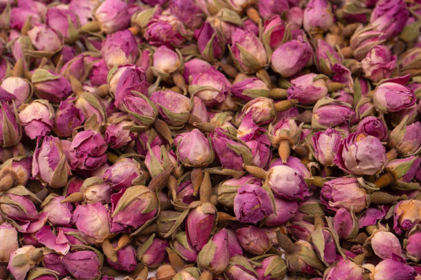 istock Dry tea roses isolated on white background. 1493256742