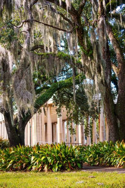 istock a statue of a man standing under a tree in front of a building 1493258782