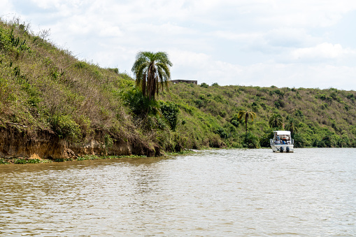 Safari boat cruises along the Kazinga Channel, looking for wildlife