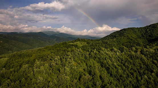A beautiful spring forest with a rainbow near the mountain