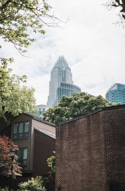 istock Residential with city in the background 1493271087