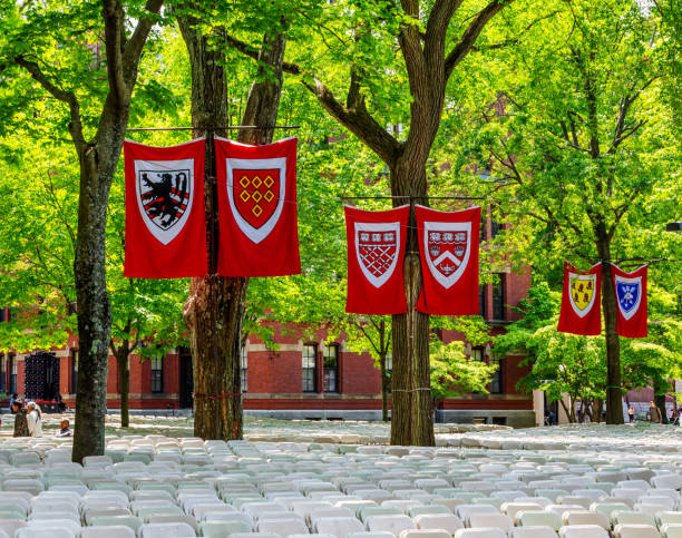 abschluss in harvard yard - harvard university - cambridge, massachusetts - massachusetts boston harvard university sign stock-fotos und bilder