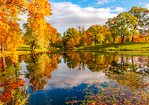 Beautiful autumn landscape along Muskoka River in Bracebridge