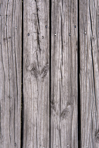 Photo taken at the historic town of Apalachicola, located in  Florida's panhandle region, USA. Nikon D750 with AF-S NIKKOR 24-70mm F2.8G ED