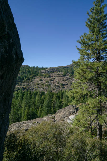 istock Exploring the nature in Northern California 1493284792
