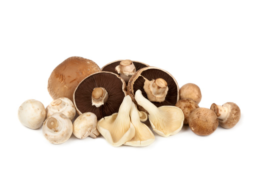 Mushroom varieties over white background. Includes portobello, oyster, button and brown.