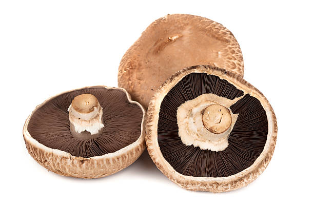 istock Portobello Mushrooms Isolated on White 149328616
