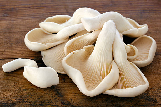 istock Oyster Mushrooms on Old Timber 149328622
