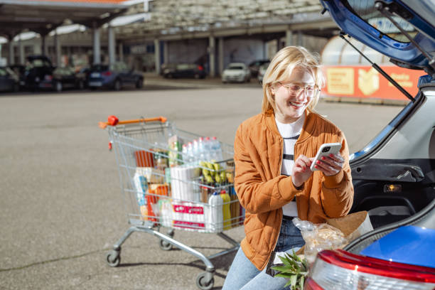istock Online grocery shopping concept 1493286636